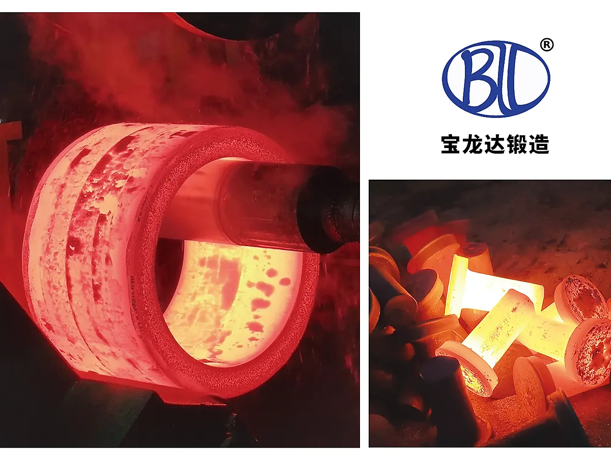 Non-Standard Forgings official product reference for forged flange RFQ review